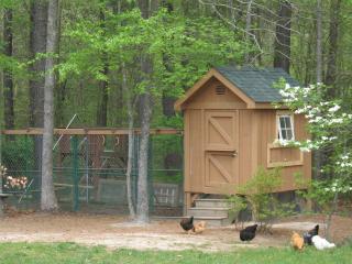 15441_coop_in_the_spring.jpg