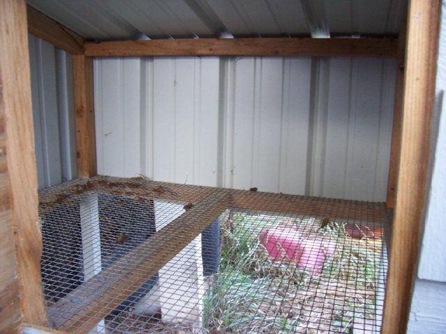 15489_rabbithutch3.jpg