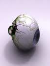 15498_spid.jpg