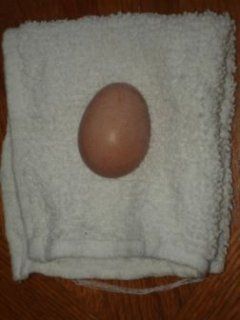 15553_smoresegg.jpg
