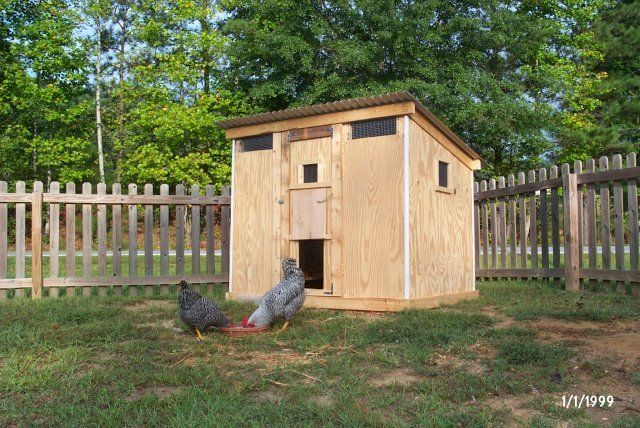 15560_new_chicken_coop_and_chicklets_sept_08_003.jpg