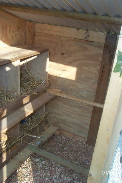 15560_new_chicken_coop_and_chicklets_sept_08_009.jpg