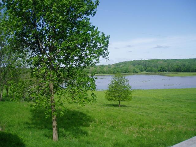 15601_3307230825.jpg