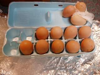 15601_ffa_hatching_eggs_050.jpg