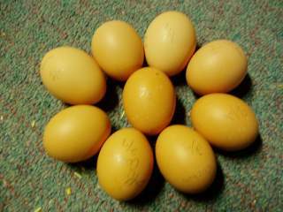 15601_ffa_hatching_eggs_064.jpg