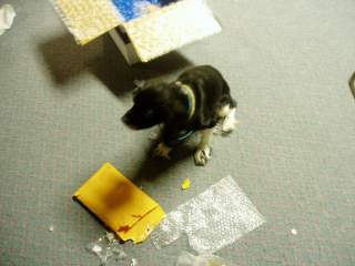 15601_fudge_swap_003.jpg