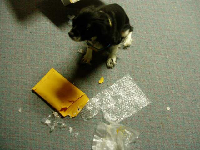 15601_fudge_swap_004.jpg