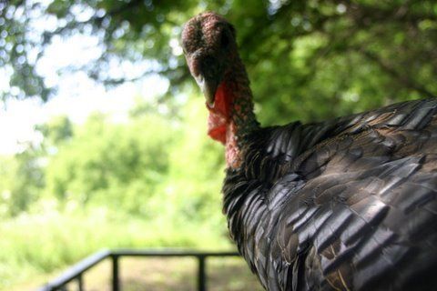 1567_jake_profile.jpg