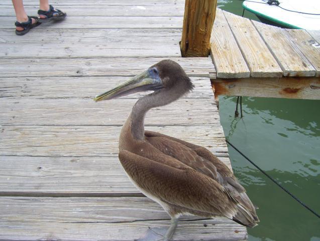 15765_keys_vacay_003.jpg