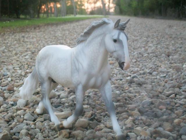 15858_breyer_photo_shoot_010.jpg