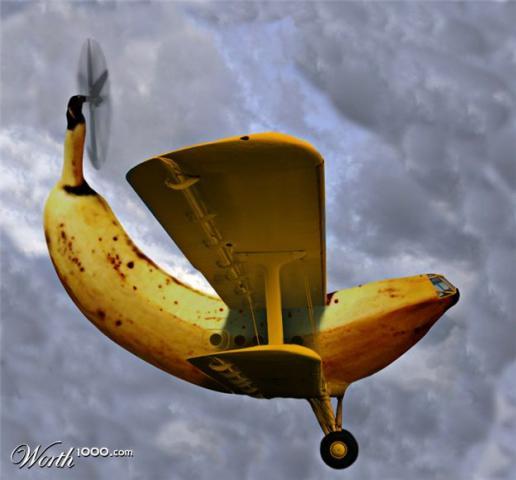 15861_bananaplane.jpg