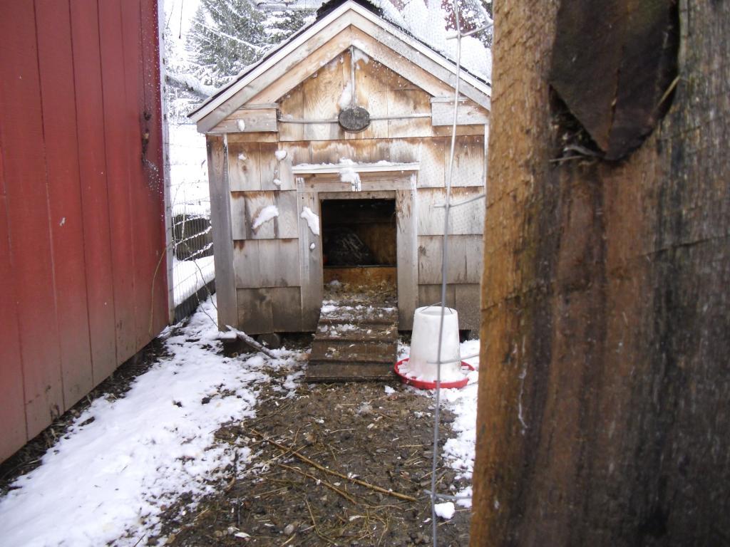 15877_cimg0405.jpg