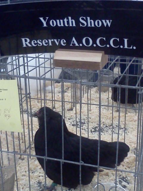 15879_reserveaocclyouth.jpg