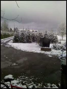 15879_snowday2011.jpeg
