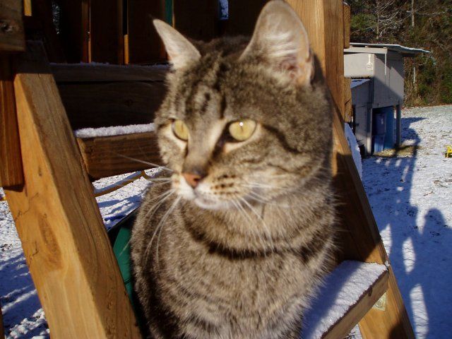 15898_pc060046.jpg