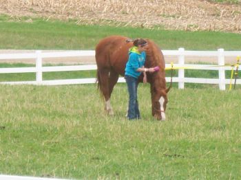 15975_malorie-skipper_brushing.jpg