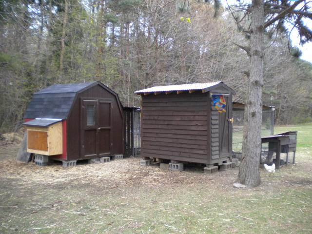 16143_april_2010_271.jpg
