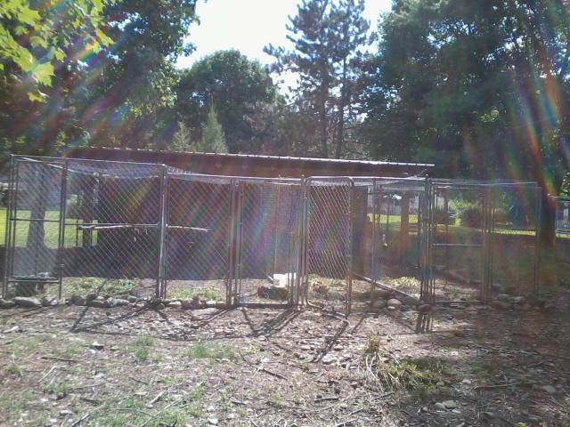 16143_img_20110822_152804.jpg