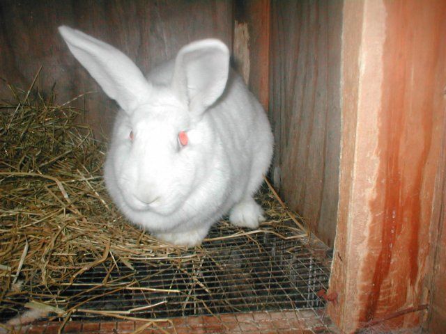 16210_pc100006.jpg
