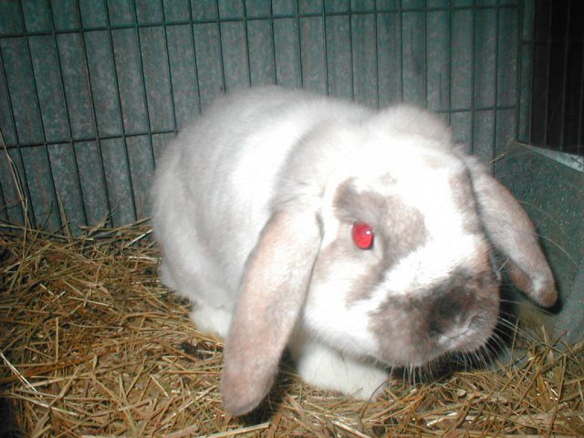 16210_pc100008.jpg