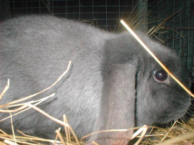 16210_pc100016.jpg