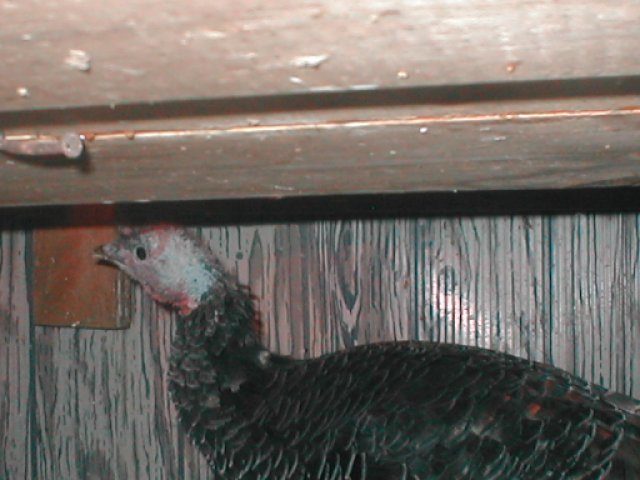 16210_pc100146.jpg