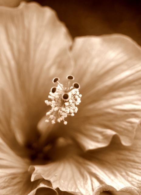 16250_today_042_picnik.jpg
