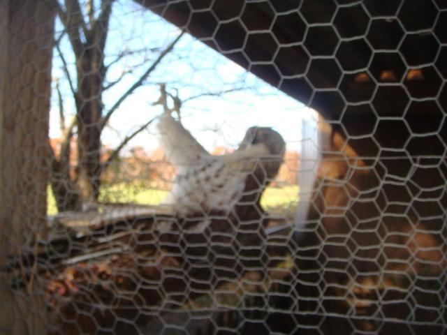 16258_dsc01050.jpg