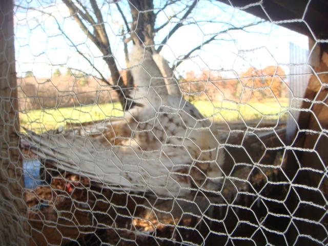 16258_dsc01054.jpg
