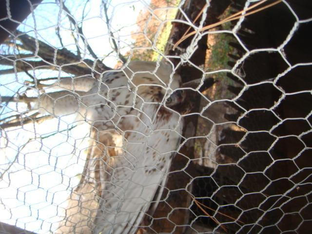 16258_dsc01055.jpg