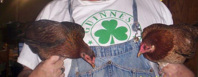 16272_games_hens.jpg