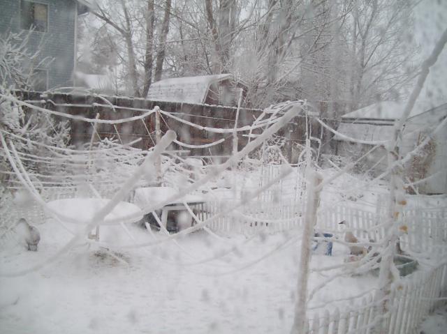 16390_100_4079.jpg