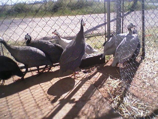 16415_102408_14531.jpg