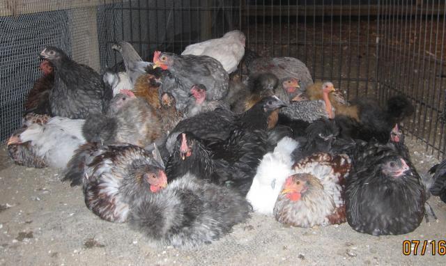 1648_groupout.jpg