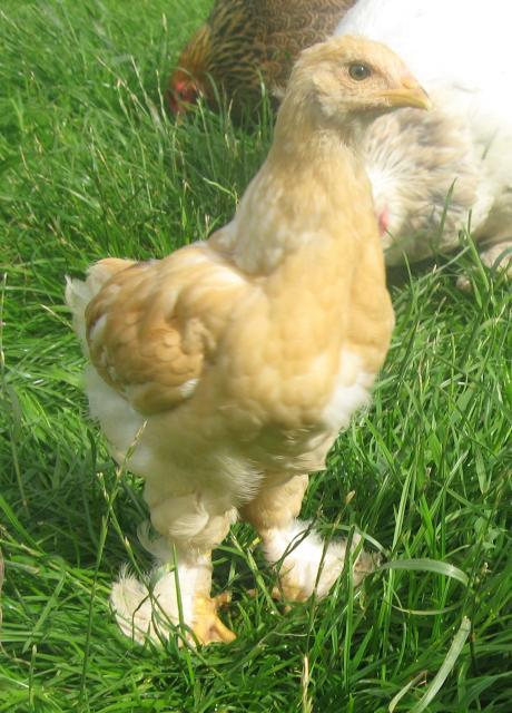 16494_august2010_010.jpg