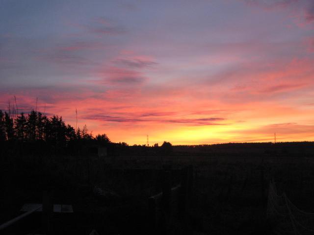 16494_dec09_008.jpg