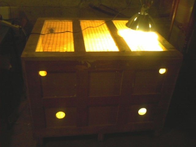 16501_brooder_2.jpg