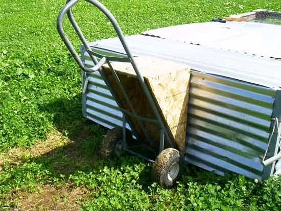 16513_poultry7_dolly1.jpg