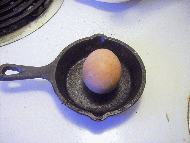 16541_egg.gif