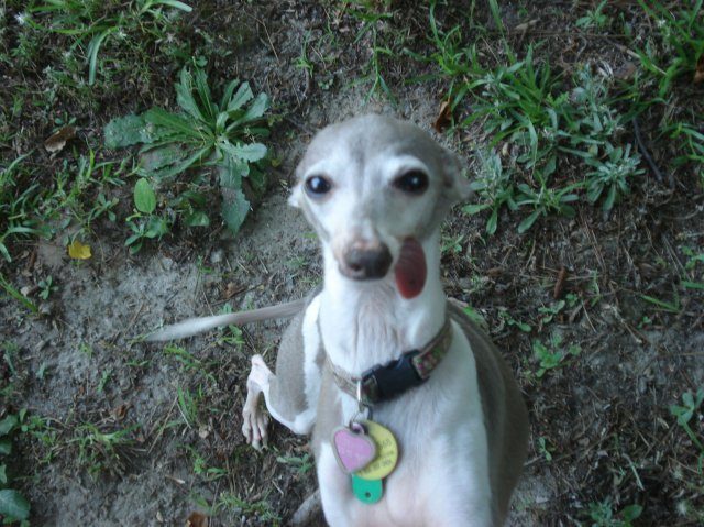 16571_sophie.jpg