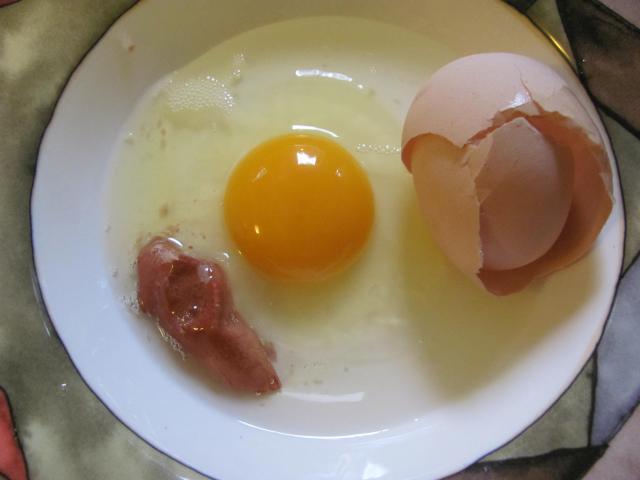 16660_egg.jpg