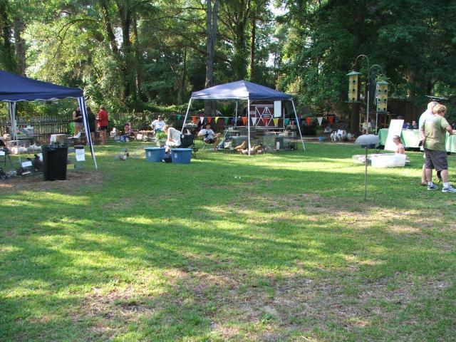 16662_618_swap_005.jpg