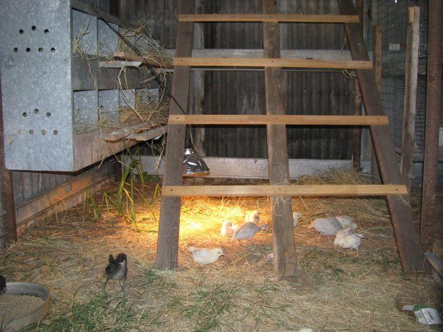 16675_003.jpg