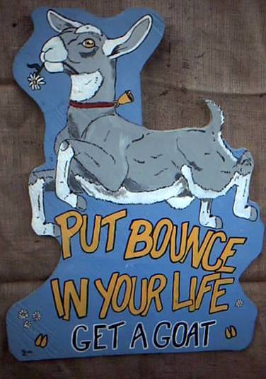 16676_goatbounce.jpg
