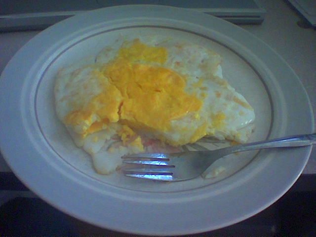 16750_goose_egg_fried.jpg