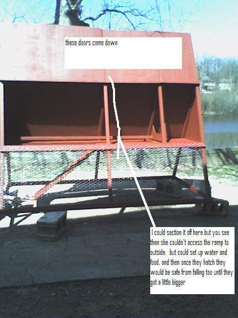 16761_coop2idea.jpg