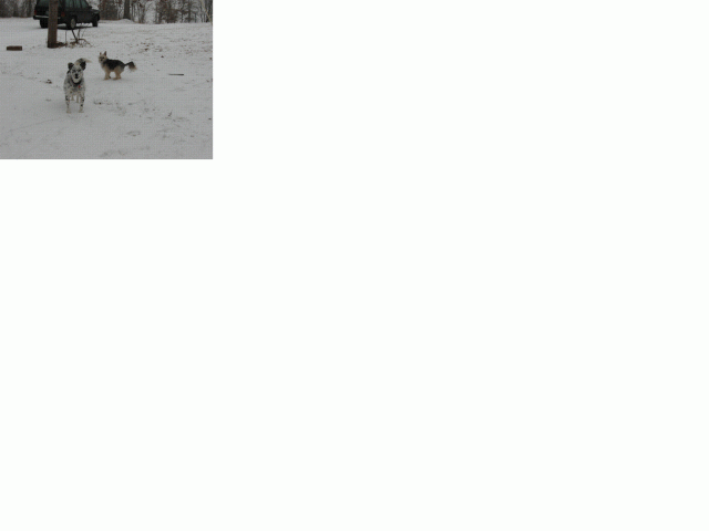 16761_sallymrsnow.gif