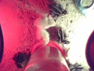 16857_12-03-10_1838.jpg