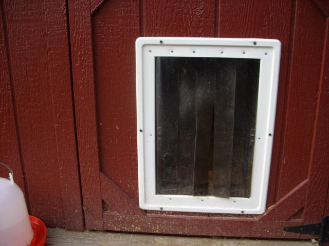 16990_stp81729.jpg