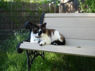 17059_sampson.jpg